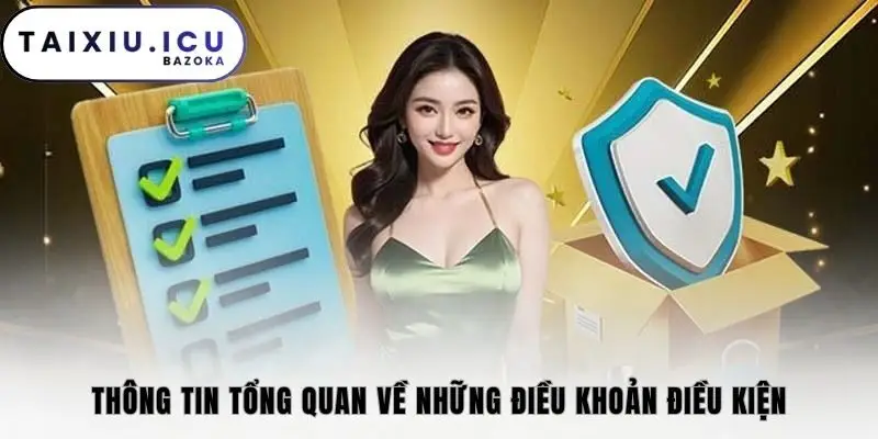 Thông tin tổng quan về những điều khoản điều kiện